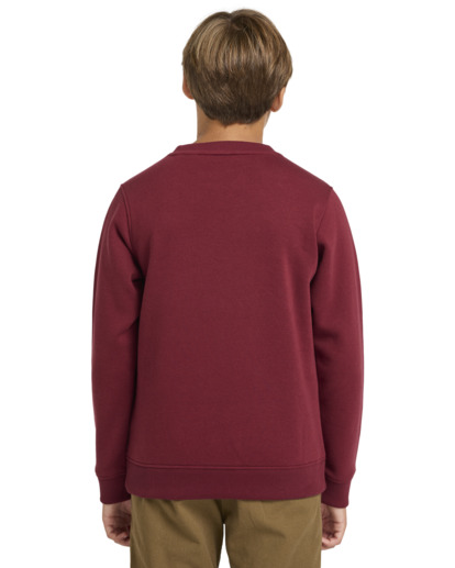 Cornell Classic - Pullover Sweatshirt for Boys 8 - 16  ELBFT00124