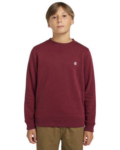 Cornell Classic - Pullover Sweatshirt for Boys 8 - 16  ELBFT00124