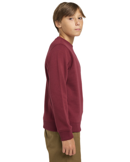 Cornell Classic - Pullover Sweatshirt for Boys 8 - 16  ELBFT00124