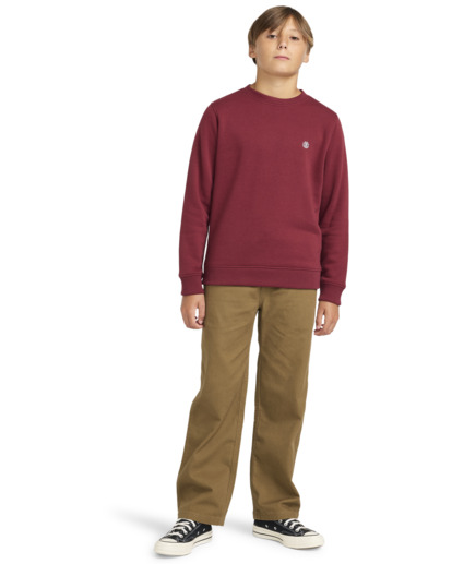 Cornell Classic - Pullover Sweatshirt for Boys 8 - 16  ELBFT00124