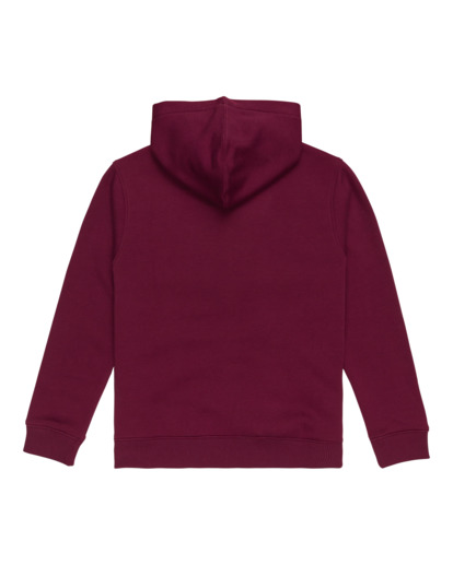 Cornell Classic - Zip-Up Hoodie for Boys 8 - 16  ELBFT00126