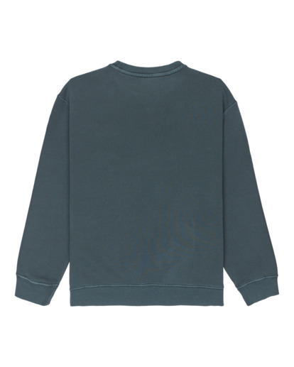 Lowcase Pigment Cr Y - Sweatshirt for Boys 8-16  ELBFT00130