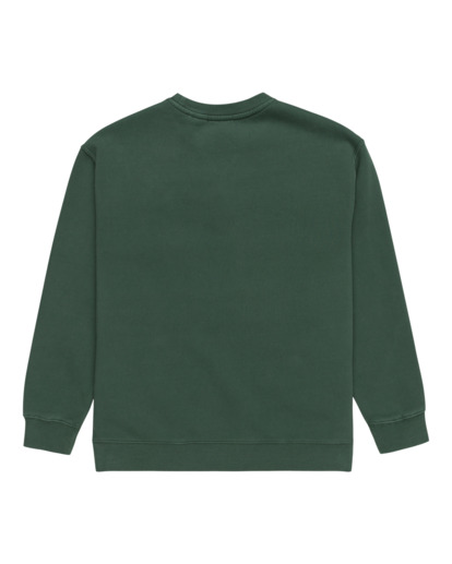 Lowcase Pigment Cr Y - Sweatshirt for Boys 8-16  ELBFT00130