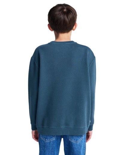 element, Lowcase Pigment Cr Y - Sweat pour Garçon 8-16 ans, MAGICAL FOREST (btg0) Lowcase Pigment Cr Y - Sweatshirt for Boys 8-16  ELBFT00130