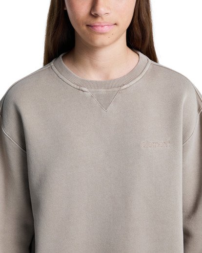 element, Lowcase Pigment Cr Y - Sweat pour Garçon 8-16 ans, ALUMINUM (tkh0) Lowcase Pigment Cr Y - Sweatshirt for Boys 8-16  ELBFT00130