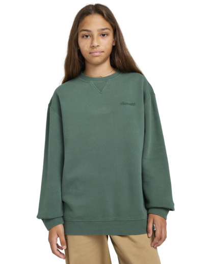 Cornell 3.0 - Pullover Sweatshirt for Boys 8 - 16  ELBFT00130