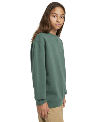 Lowcase Pigment Cr Y - Sweatshirt for Boys 8-16  ELBFT00130