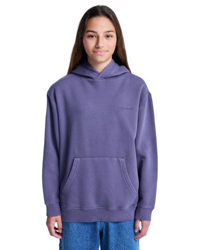 element, Lowcase Pigment Po Y - Hoodie voor Jongens 8-16, GRAYSTONE (krb0) Lowcase Pigment Po Y - Hoodie for Boys 8-16  ELBFT00131
