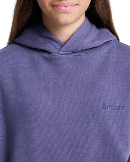 element, Lowcase Pigment Po Y - Hoodie voor Jongens 8-16, GRAYSTONE (krb0) Lowcase Pigment Po Y - Hoodie for Boys 8-16  ELBFT00131