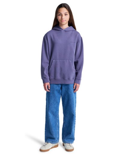 element, Lowcase Pigment Po Y - Hoodie voor Jongens 8-16, GRAYSTONE (krb0) Lowcase Pigment Po Y - Hoodie for Boys 8-16  ELBFT00131