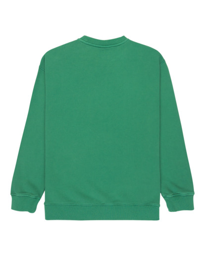 Cornell 3.0 - Pullover Sweatshirt for Boys 8 - 16  ELBFT00137