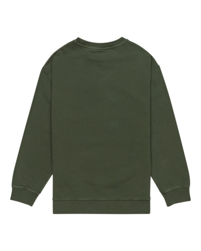 Cornell 3.0 - Pullover Sweatshirt for Boys 8 - 16  ELBFT00137