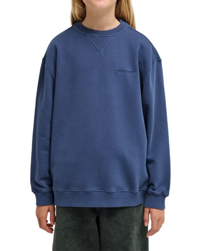 Cornell 3.0 - Pullover Sweatshirt for Boys 8 - 16  ELBFT00137