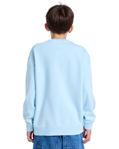 Cornell 3.0 - Pullover Sweatshirt for Boys 8 - 16  ELBFT00137