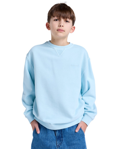 Cornell 3.0 - Pullover Sweatshirt for Boys 8 - 16  ELBFT00137