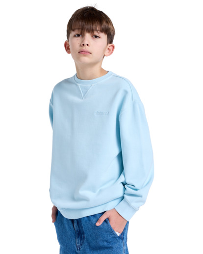 Cornell 3.0 - Pullover Sweatshirt for Boys 8 - 16  ELBFT00137