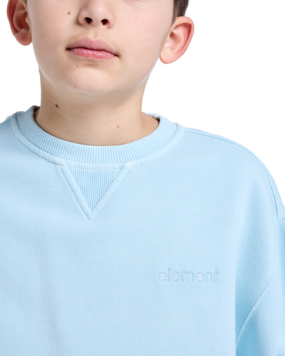 Cornell 3.0 - Pullover Sweatshirt for Boys 8 - 16  ELBFT00137