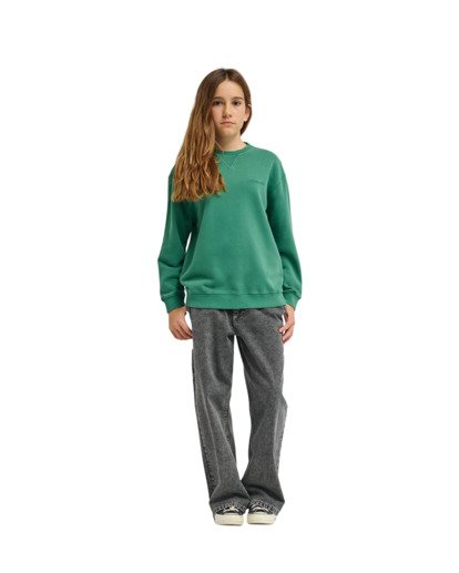 Cornell 3.0 - Pullover Sweatshirt for Boys 8 - 16  ELBFT00137