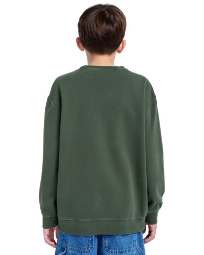 Cornell 3.0 - Pullover Sweatshirt for Boys 8 - 16  ELBFT00137