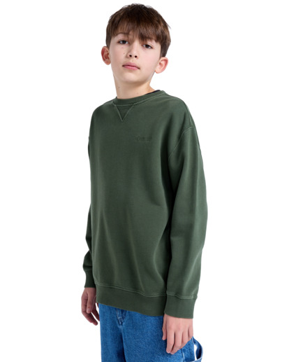 Cornell 3.0 - Pullover Sweatshirt for Boys 8 - 16  ELBFT00137