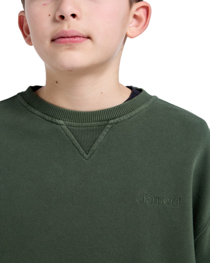 Cornell 3.0 - Pullover Sweatshirt for Boys 8 - 16  ELBFT00137