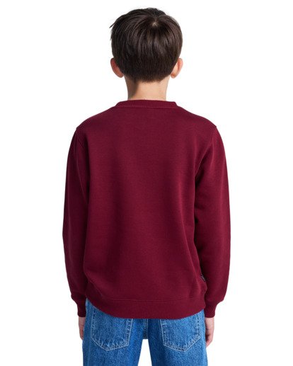 element, Icon Embroidery Cr Y - Sweatshirt for Boys 8-16, ZINFANDEL (rss0) Icon Embroidery Cr Y - Sweatshirt for Boys 8-16  ELBFT00144