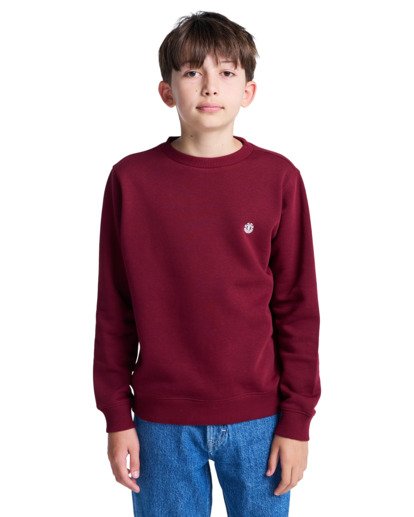 element, Icon Embroidery Cr Y - Sweatshirt for Boys 8-16, ZINFANDEL (rss0) Icon Embroidery Cr Y - Sweatshirt for Boys 8-16  ELBFT00144