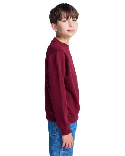 element, Icon Embroidery Cr Y - Sweatshirt for Boys 8-16, ZINFANDEL (rss0) Icon Embroidery Cr Y - Sweatshirt for Boys 8-16  ELBFT00144