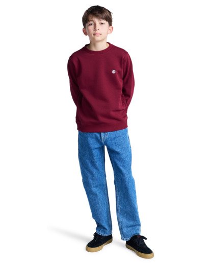 element, Icon Embroidery Cr Y - Sweatshirt for Boys 8-16, ZINFANDEL (rss0) Icon Embroidery Cr Y - Sweatshirt for Boys 8-16  ELBFT00144