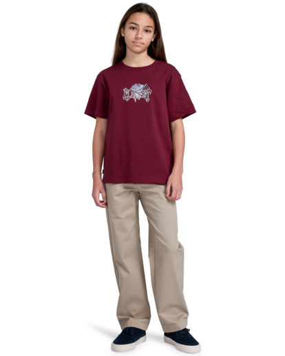 Howland Work - Chino Pants for Boys 8 - 16  ELBNP00124