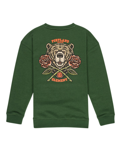 Teddy - Sweatshirt for Boys 8-16  ELBSF00127