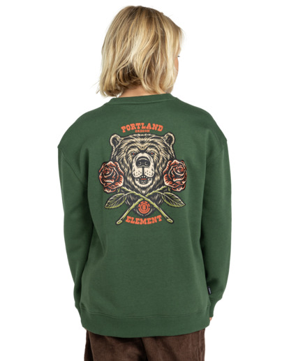 Teddy - Sweatshirt for Boys 8-16  ELBSF00127