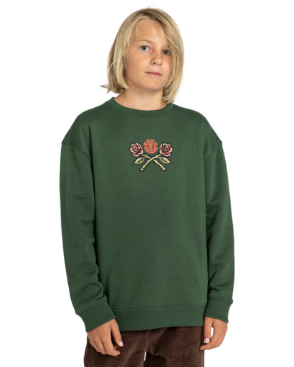 Teddy - Sweatshirt for Boys 8-16  ELBSF00127