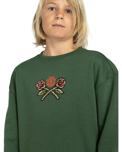 Teddy - Sweatshirt for Boys 8-16  ELBSF00127