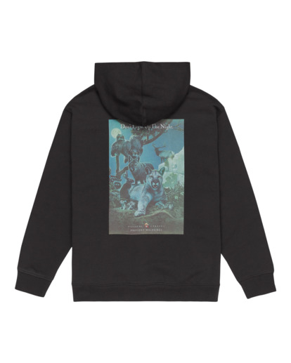 Element x Smokey Bear Night - Pullover Hoodie for Boys 8-16  ELBSF00156