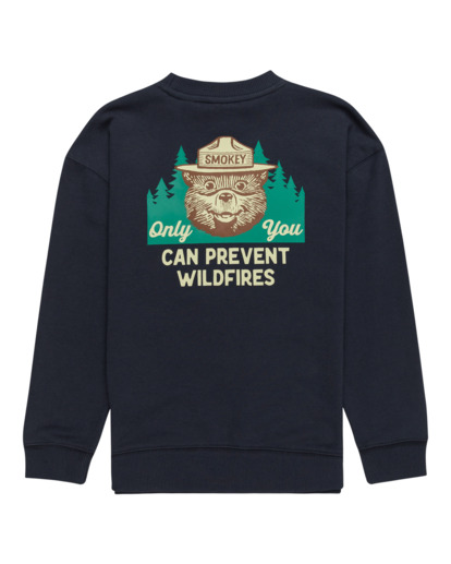 Smokey Bear x Element Wildfires - Pullover Sweatshirt for Boys 8 - 16  ELBSF00161