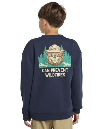 Smokey Bear x Element Wildfires - Pullover Sweatshirt for Boys 8 - 16  ELBSF00161