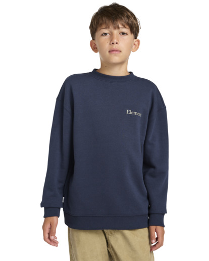 Smokey Bear x Element Wildfires - Pullover Sweatshirt for Boys 8 - 16  ELBSF00161