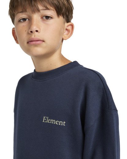 Smokey Bear x Element Wildfires - Pullover Sweatshirt for Boys 8 - 16  ELBSF00161