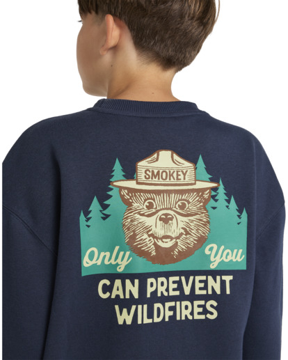 Smokey Bear x Element Wildfires - Pullover Sweatshirt for Boys 8 - 16  ELBSF00161