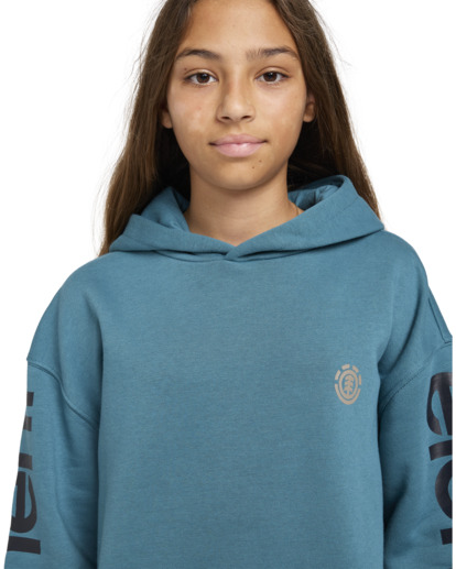 Peaks Box - Pullover Hoodie for Boys 8 - 16  ELBSF00174