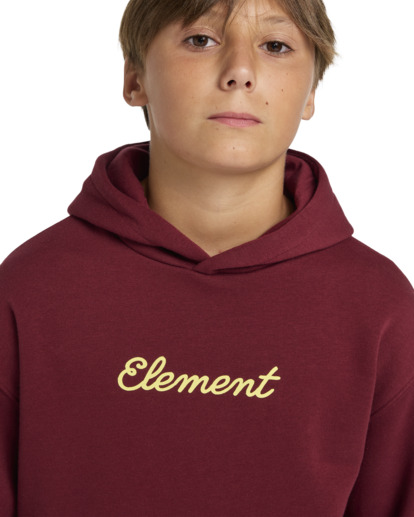 Rollin - Pullover Hoodie for Boys 8 - 16  ELBSF00177