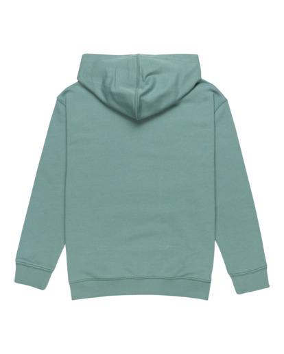 Skateboard Co - Pullover Hoodie for Boys 8 - 16  ELBSF00182