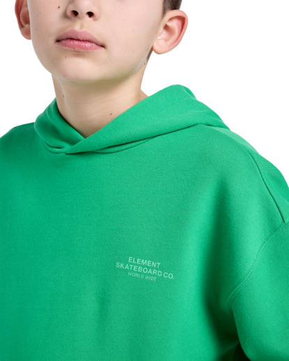 Skateboard Co - Pullover Hoodie for Boys 8 - 16  ELBSF00182