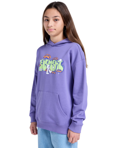 Walkin - Pullover Hoodie for Boys 8 - 16  ELBSF00187