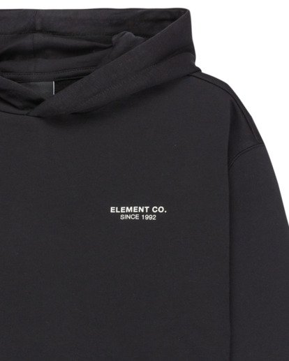 element, Element Co Po Y - Hoodie for Boys 8-16, FLINT BLACK (fbk) Element Co Po Y - Hoodie for Boys 8-16  ELBSF00196