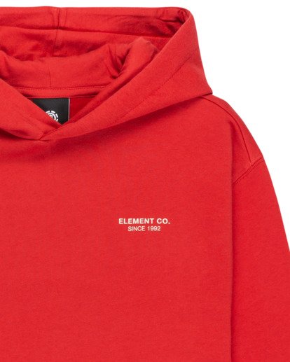 element, Element Co Po Y - Sweat à capuche pour Garçon 8-16 ans, LAVA FALLS (rra0) Element Co Po Y - Hoodie for Boys 8-16  ELBSF00196