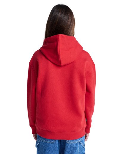 element, Element Co Po Y - Sweat à capuche pour Garçon 8-16 ans, LAVA FALLS (rra0) Element Co Po Y - Hoodie for Boys 8-16  ELBSF00196