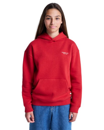 element, Element Co Po Y - Sweat à capuche pour Garçon 8-16 ans, LAVA FALLS (rra0) Element Co Po Y - Hoodie for Boys 8-16  ELBSF00196
