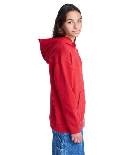 element, Element Co Po Y - Sweat à capuche pour Garçon 8-16 ans, LAVA FALLS (rra0) Element Co Po Y - Hoodie for Boys 8-16  ELBSF00196